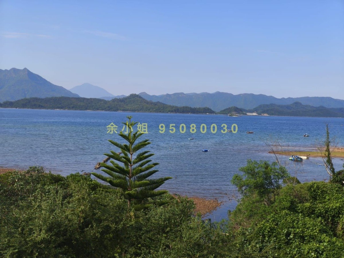 泥涌村 95080030