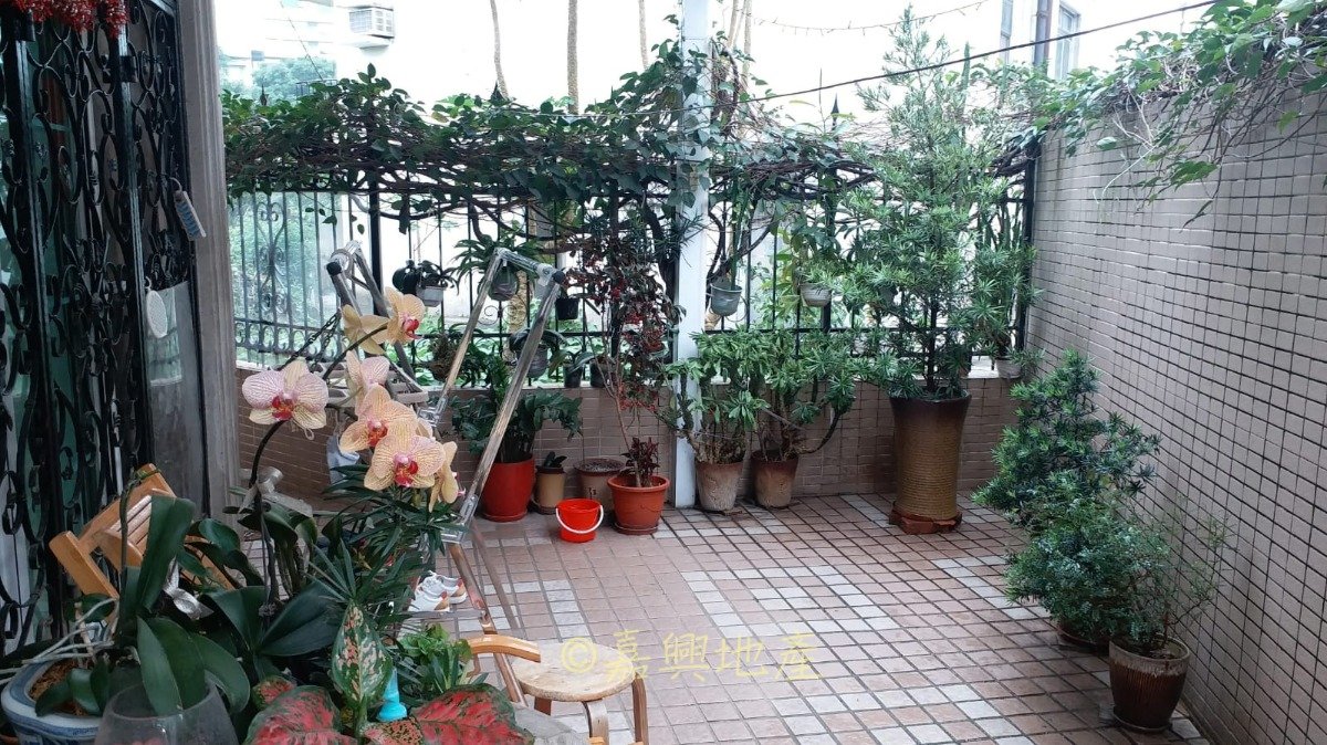 CHEK NAI PING Shatin G H025124 For Buy