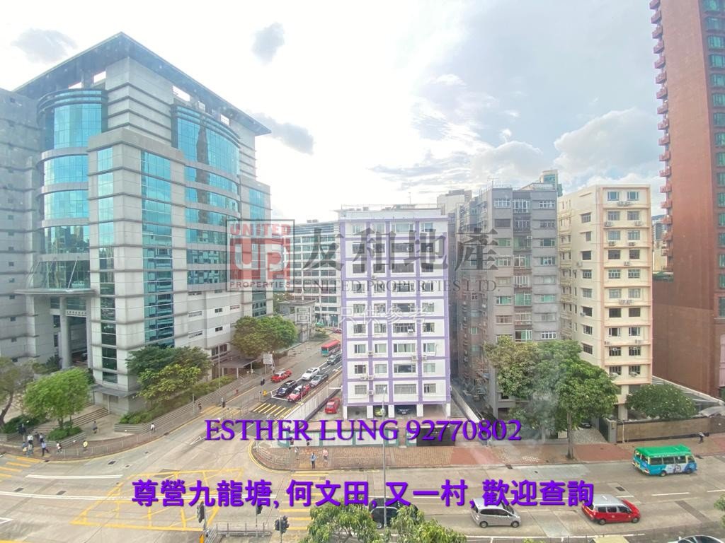 CARLTON MAN Kowloon City K178010 For Buy