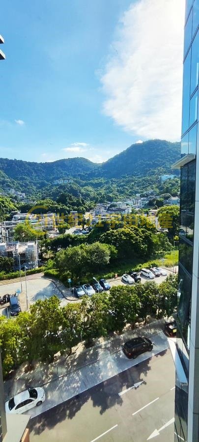 SILICON HILL GREENWOOD  Tai Po M T155290 For Buy
