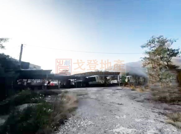 Yuen Long 024916 For Buy