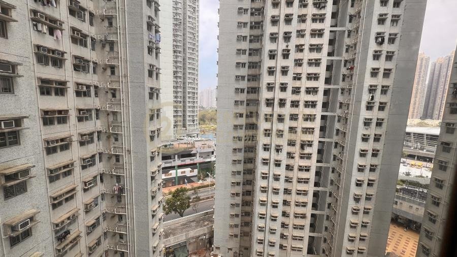 富康花園 第01期 第02座(綠表) 富康花園 第01期 第02座(綠表)