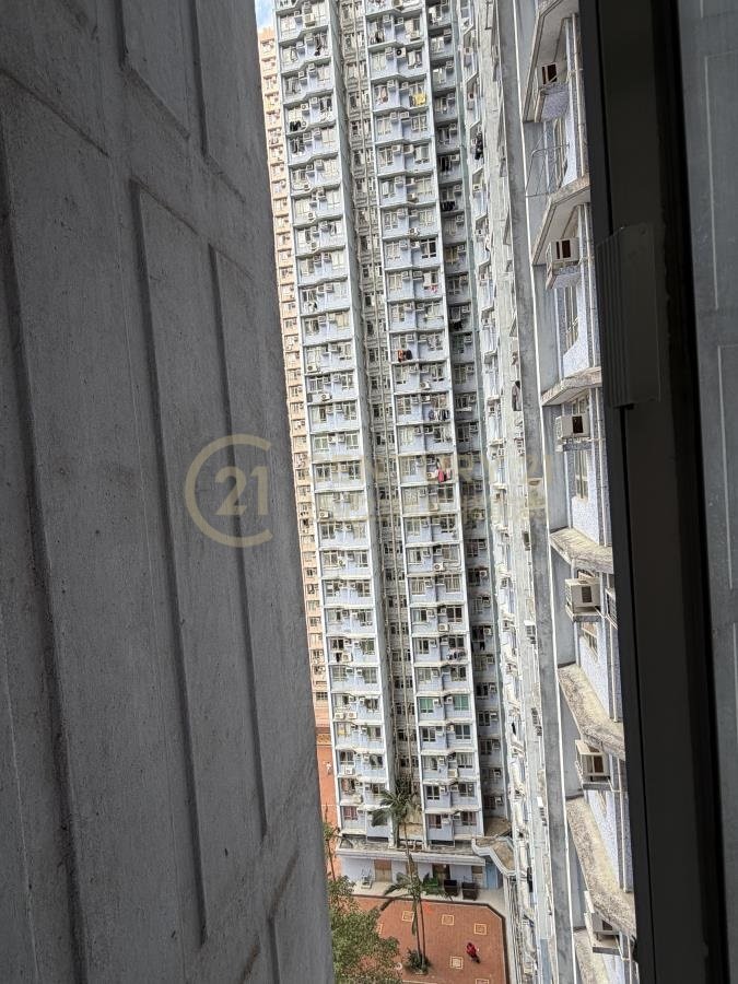 寶明苑 寶柏閣 B座 (連地價) 寶明苑 寶柏閣 B座 (連地價)