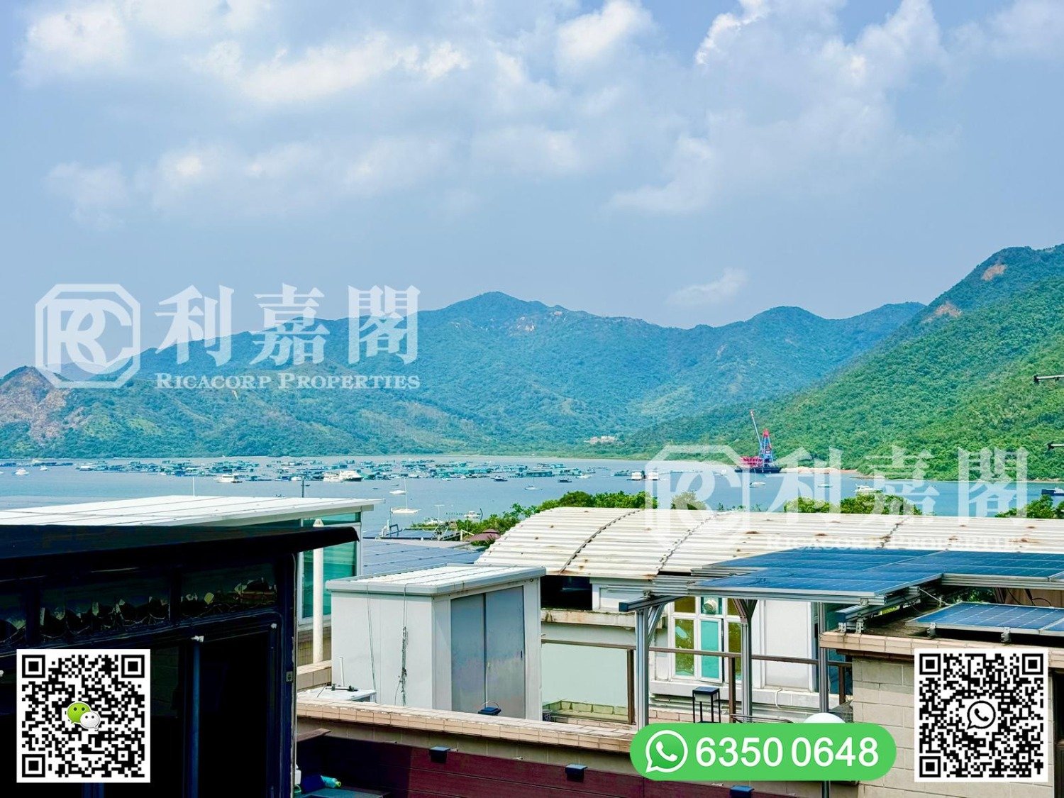 SAI KENG Tai Po All 1870214 For Buy