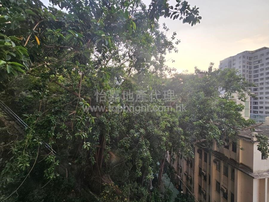 LIME HABITAT North Point M 088753 For Buy