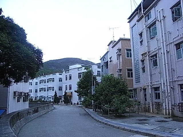 大水坑村