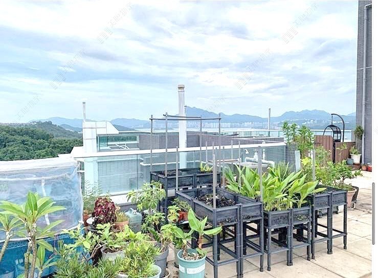 MONT VERT PH 01 TWR 06 Tai Po H 1829412 For Buy