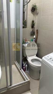 筍價出售 相片 10