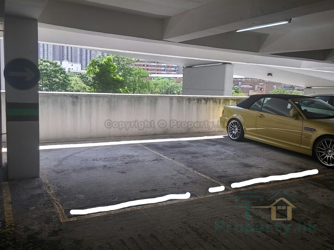 GOLDEN LION GDN PH 02 Shatin C520184 For Buy