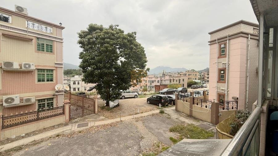 LAM TSUEN SAN Tai Po M B004627 For Buy