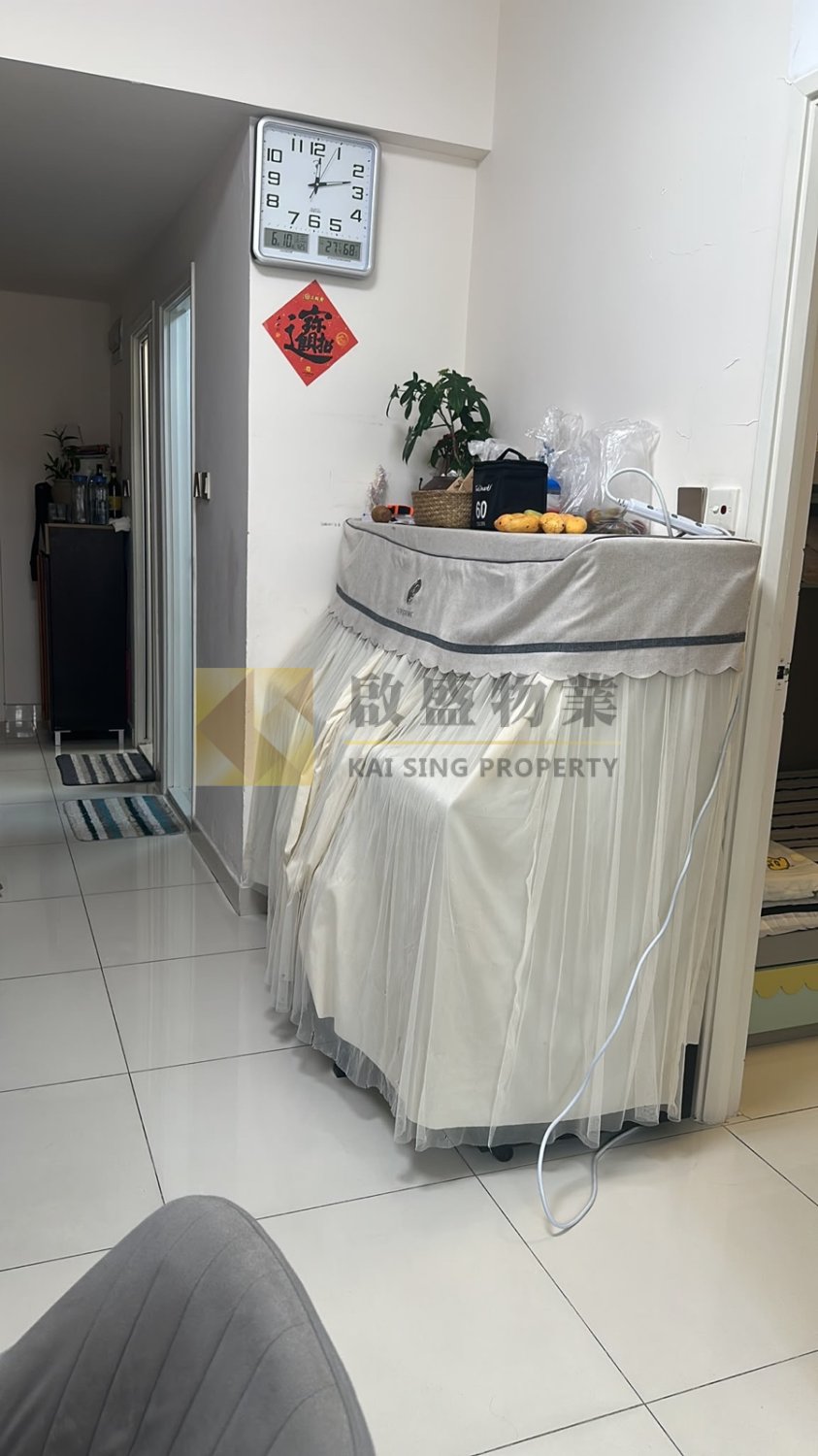 筍價出售 相片 18