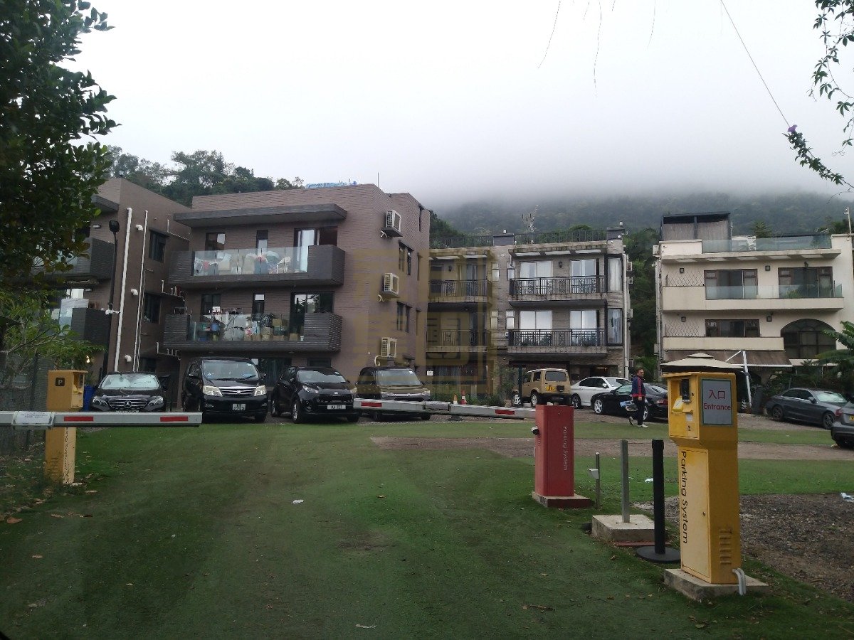 MANGROVE Tai Po F036278 For Buy