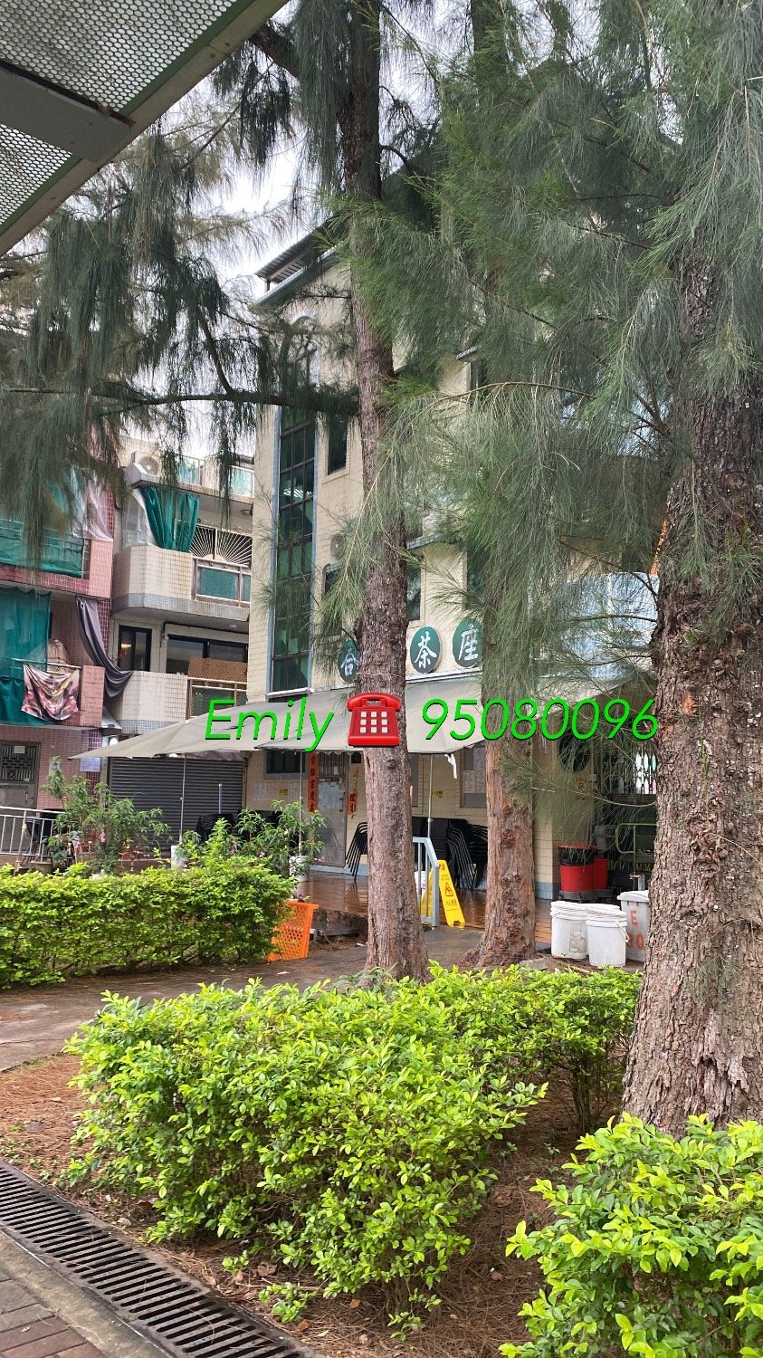 大水坑村 @ EMILY 95080096