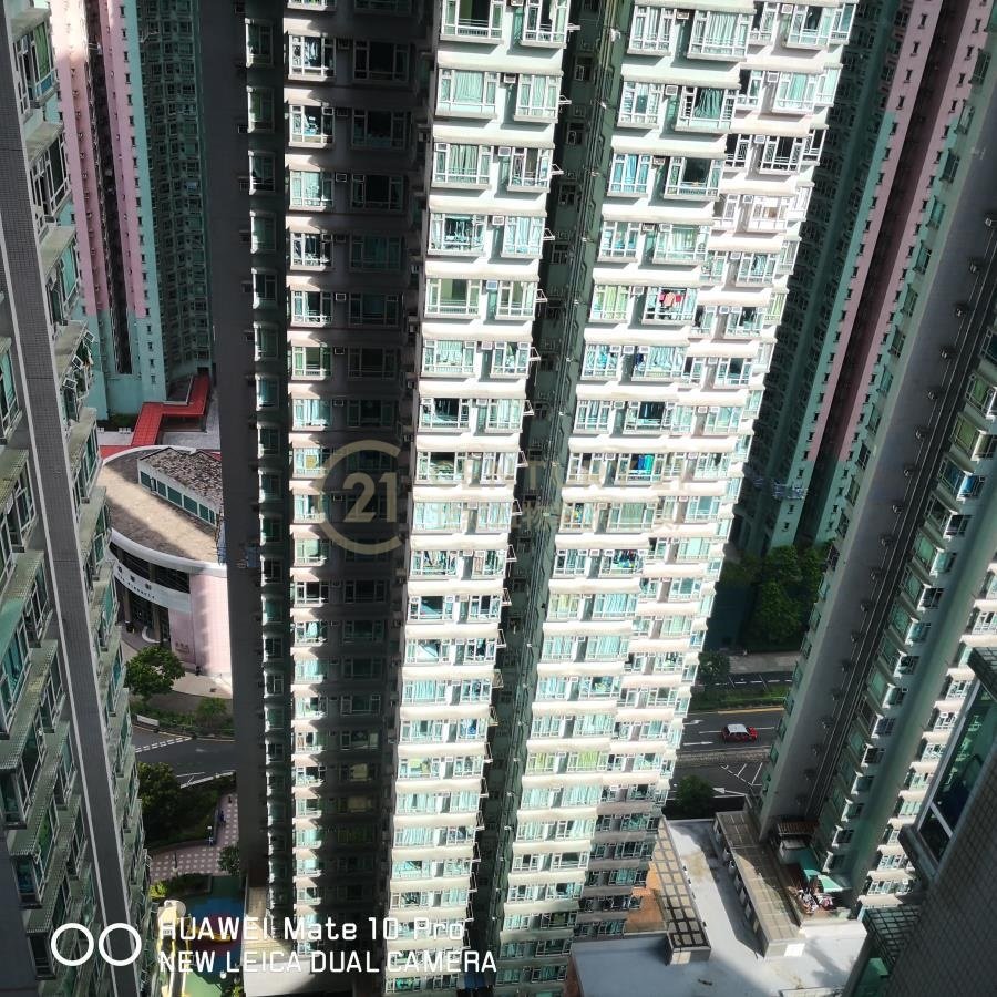 新都城 第01期 第01座