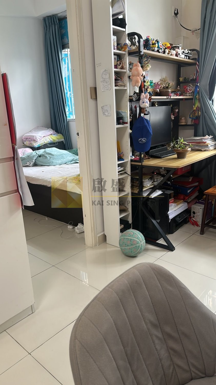筍價出售 相片 21