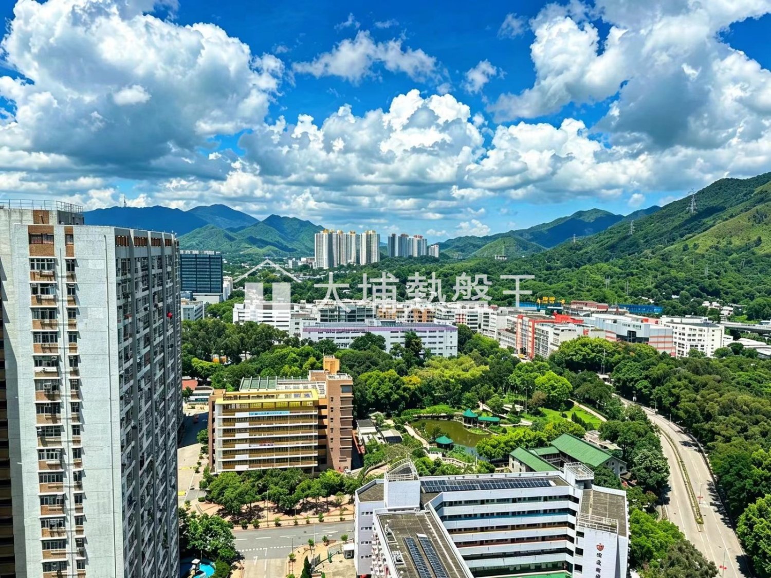 粉嶺中心  