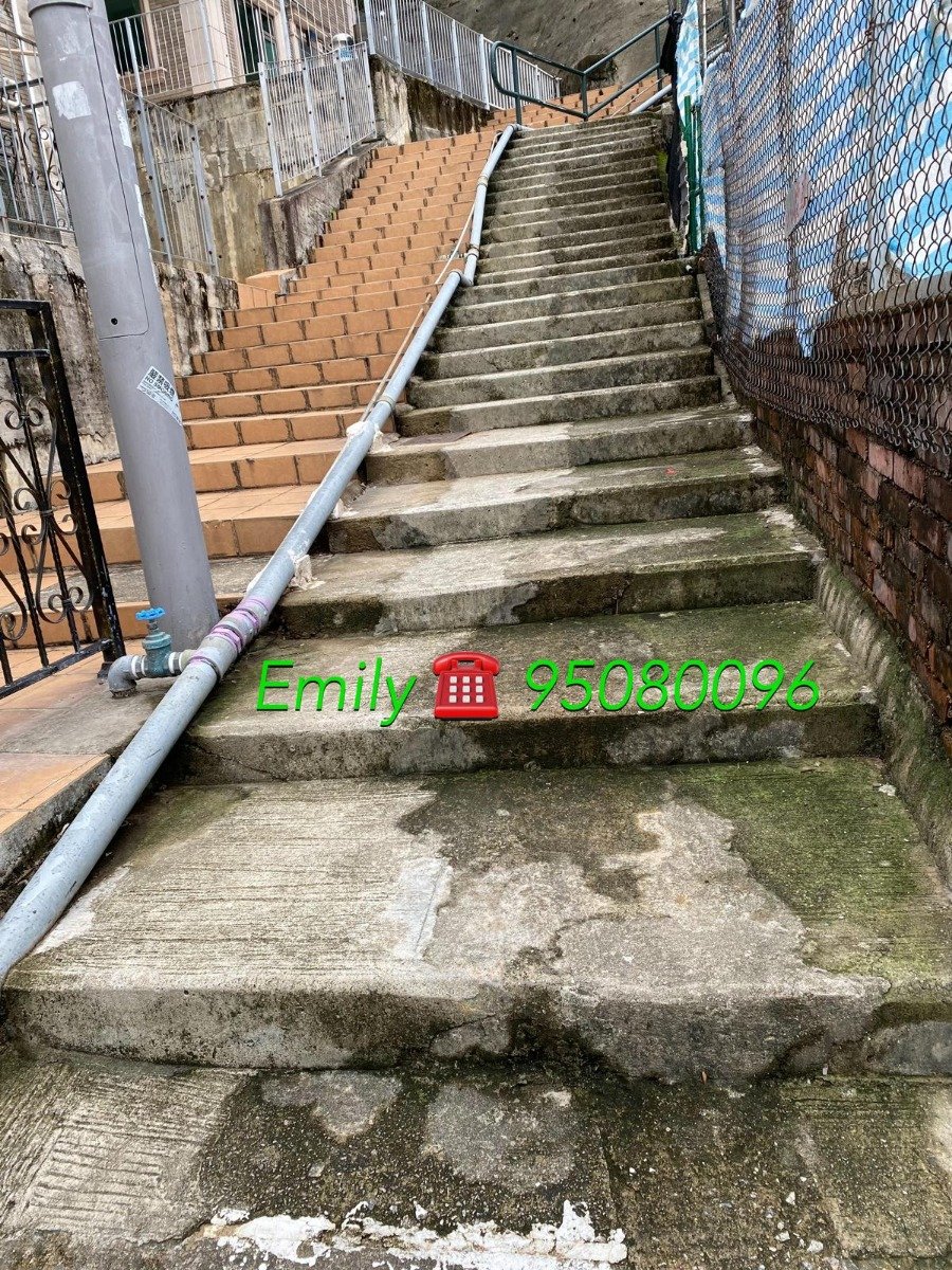 上禾輋村 @ EMILY 95080096