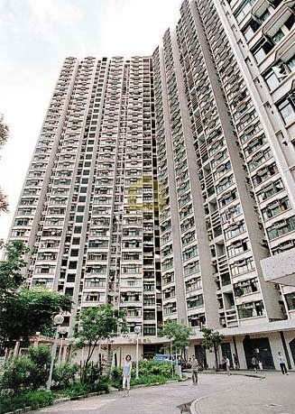 FUNG TAK  Diamond Hill H W043619 For Buy