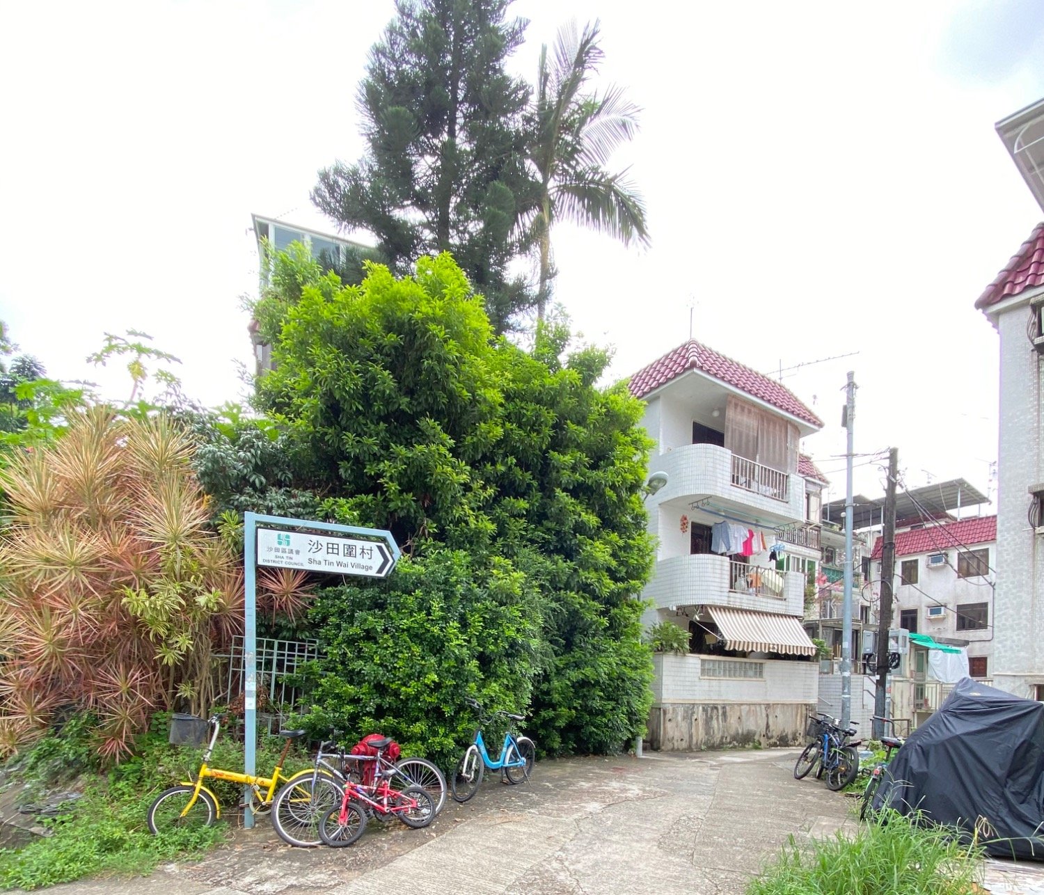 沙田圍舊村 @ EMILY 950...