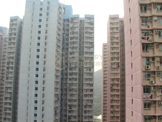 廣明苑 廣寧閣 F座 (連地價)