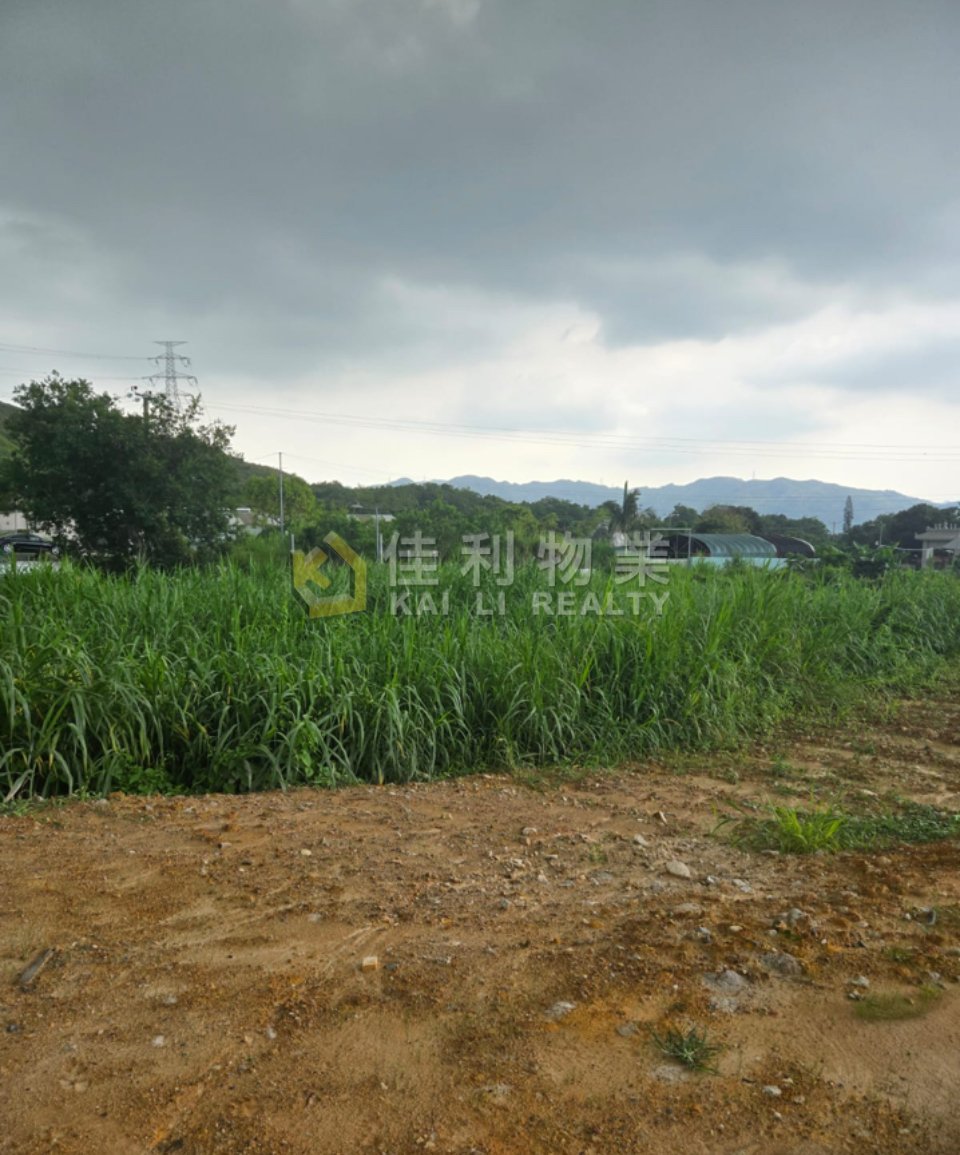 SHEK TONG TSUEN Yuen Long Y038128 For Buy