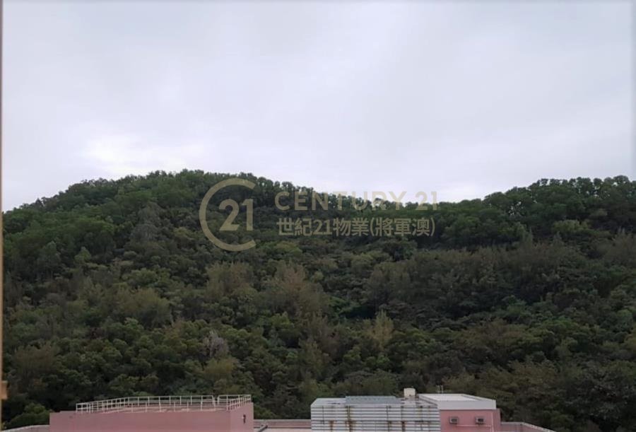 景林村 第01座 景松樓 (連地價)