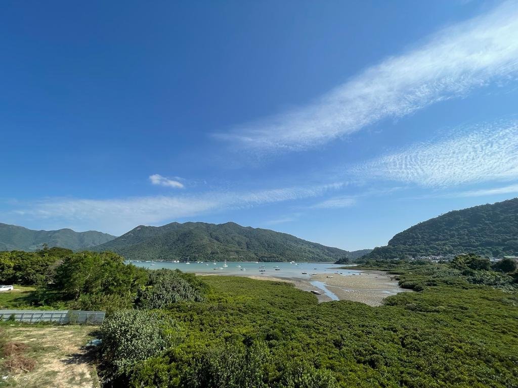 西沙村屋 95080030