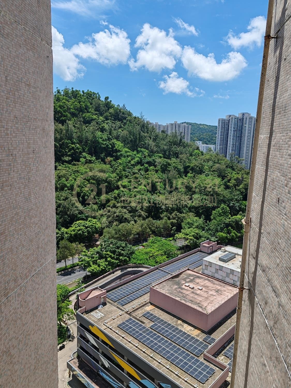 景林村 第03座 景棉樓 (連地價)