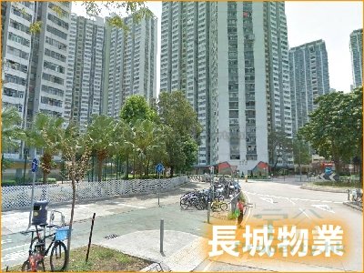 FU SHIN EST BLK 01 SHIN KWAN HSE Tai Po L A041136 For Buy