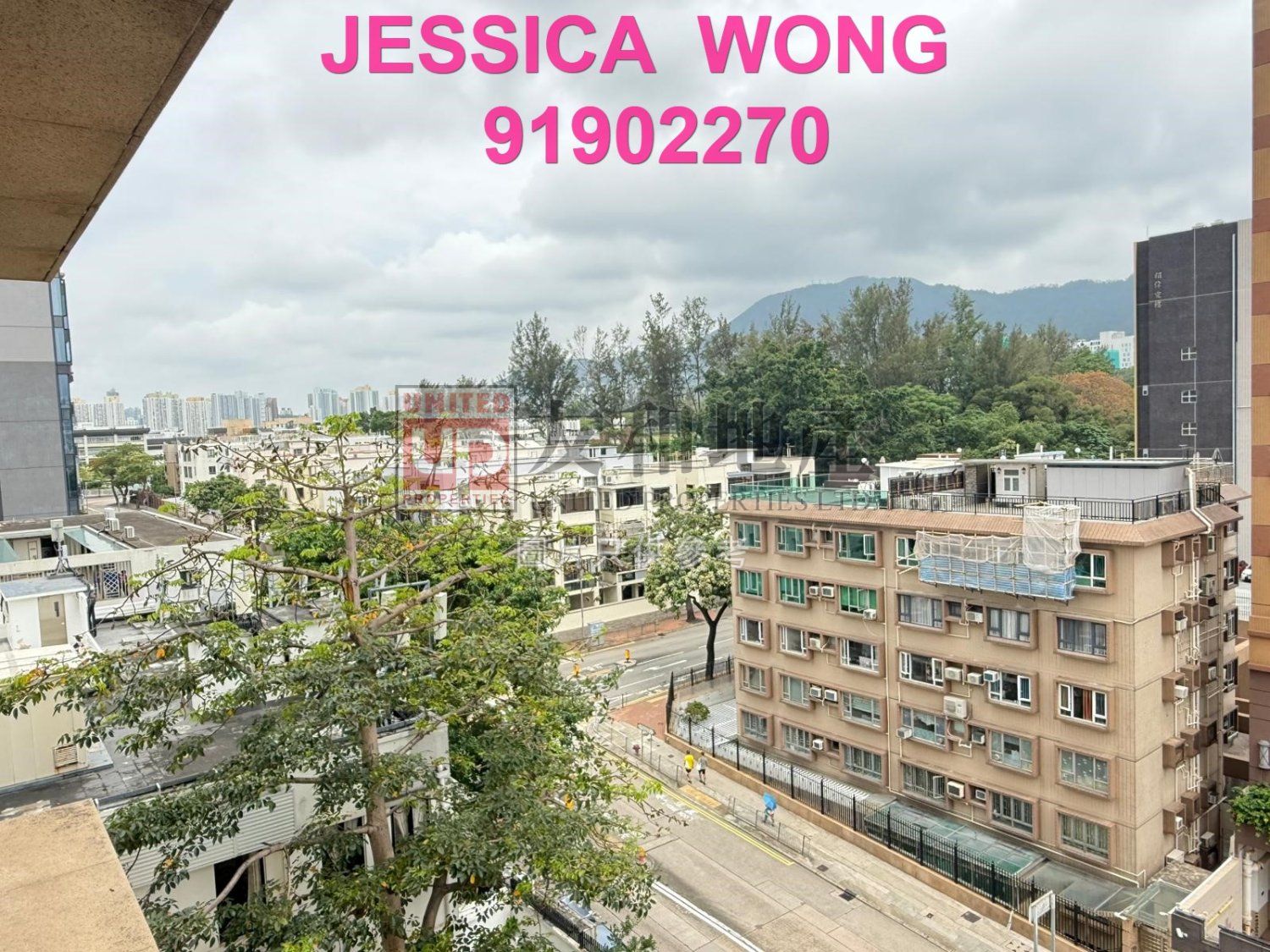 BLOOMSVILLE Kowloon Tong K153703 For Buy