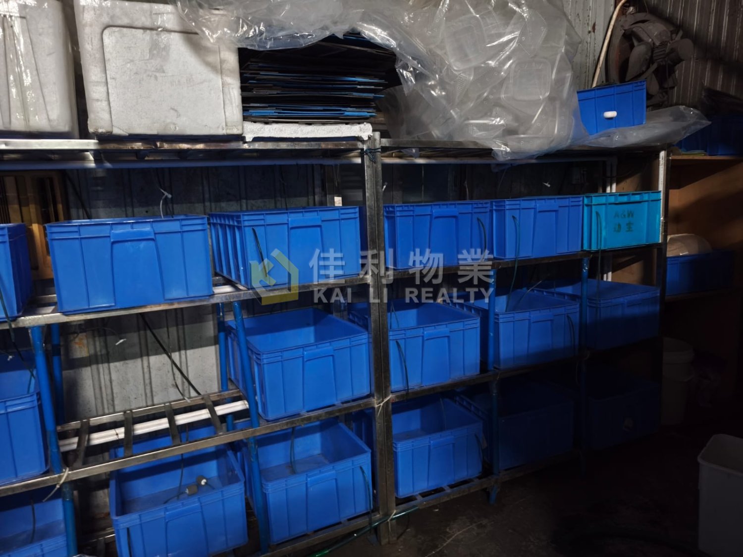 LUI KUNG TIN Yuen Long Y035180 For Buy