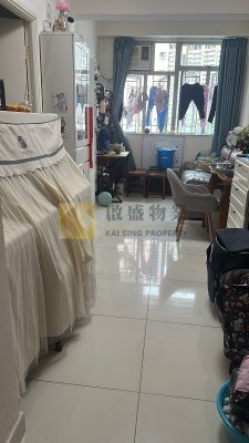 筍價出售 相片 2