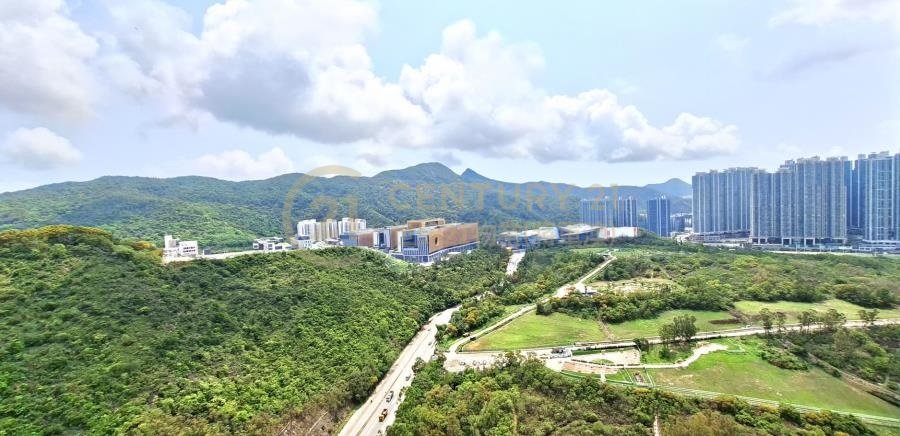 清水灣半島 第06座