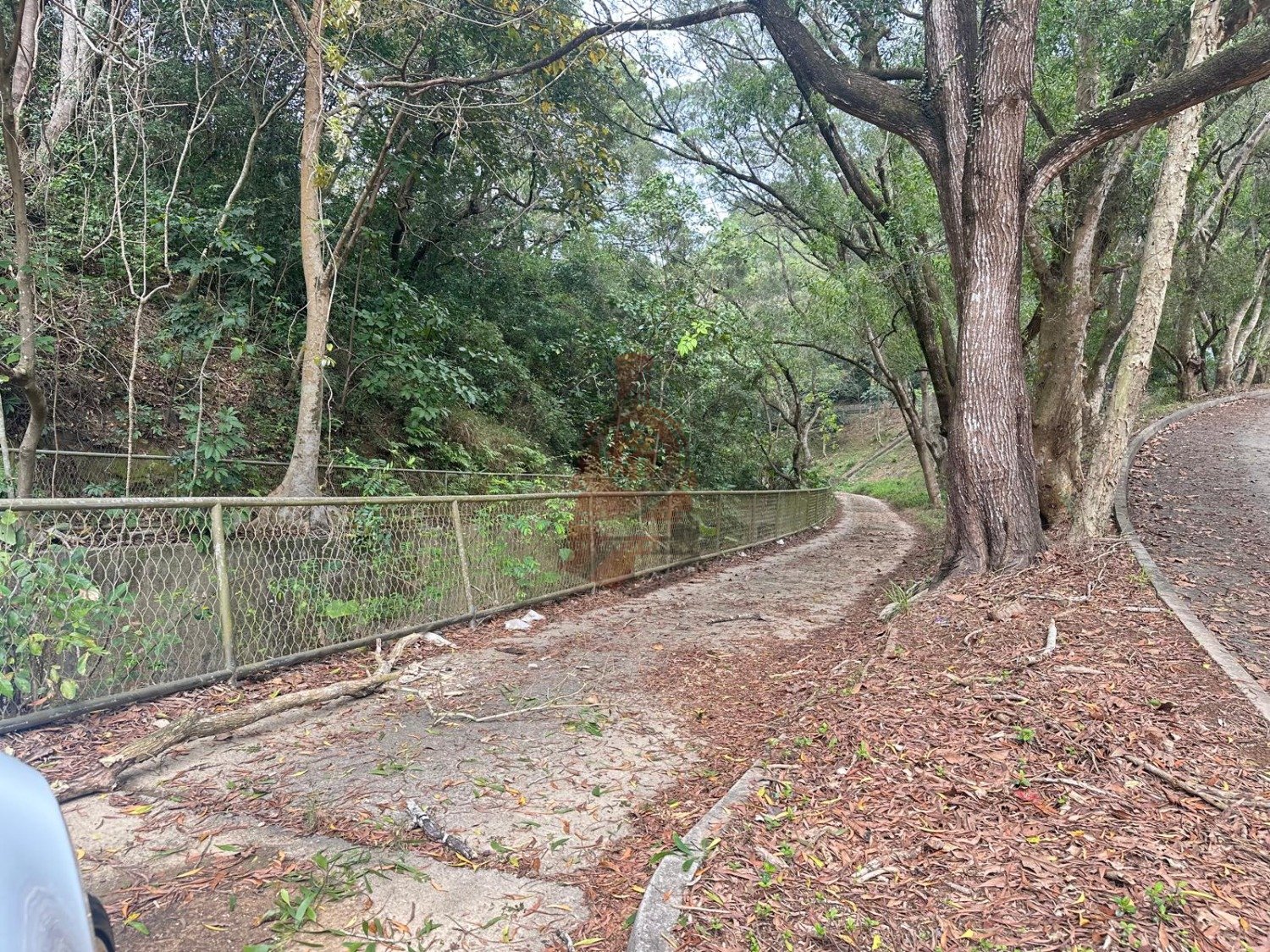 Tai Po 1823806 For Buy