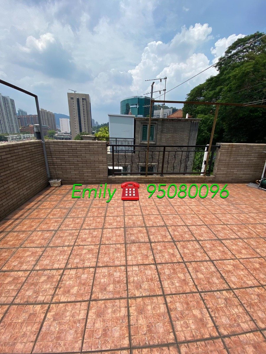 上禾輋村 @ EMILY 95080096