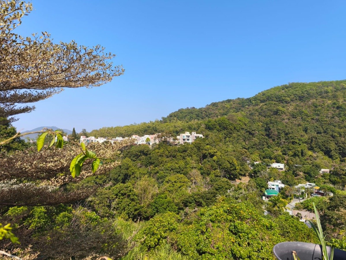 山頂花園 95080030