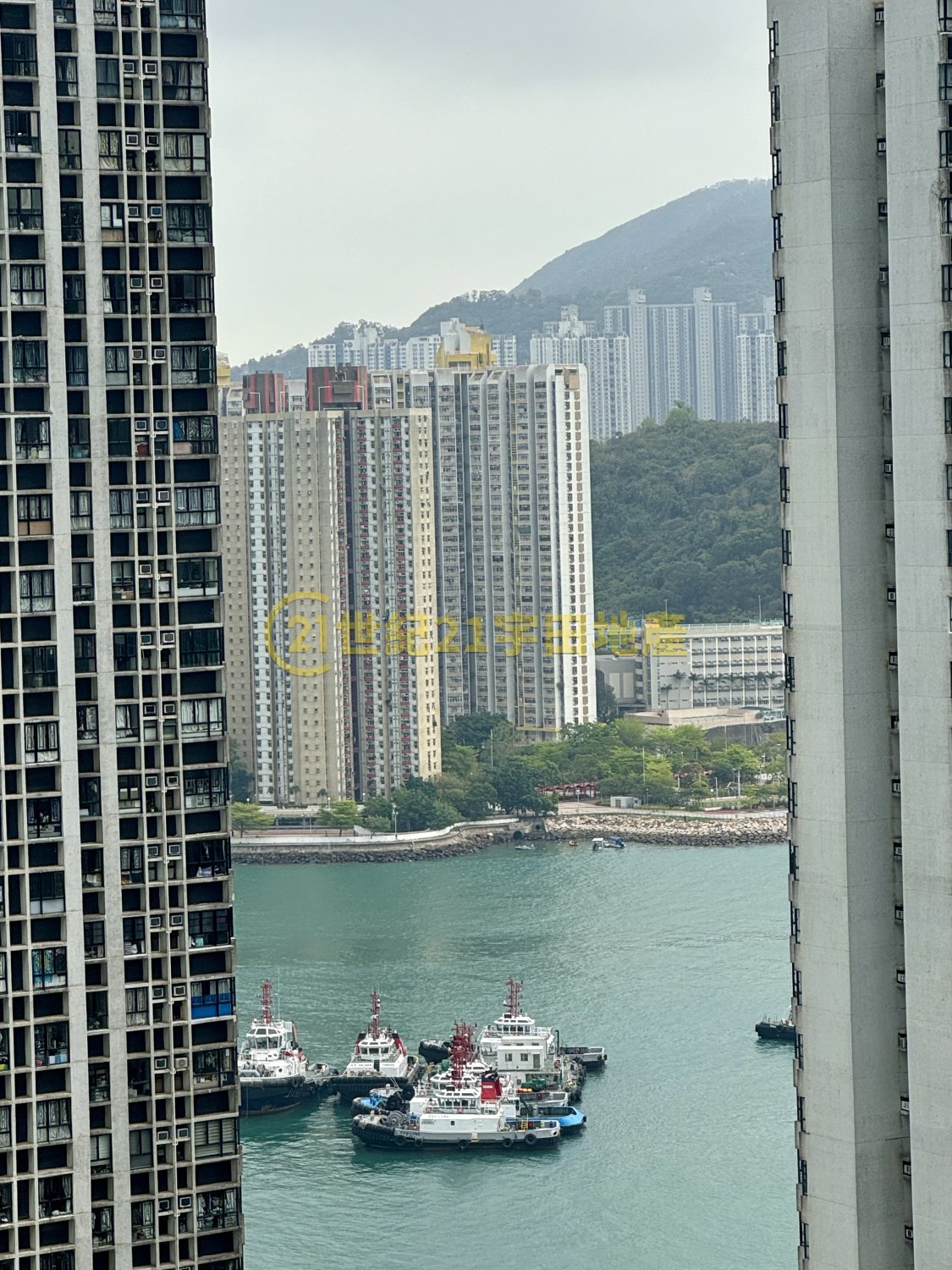 BELVEDERE GDN PH 02 BLK 08 Tsuen Wan H F155419 For Buy
