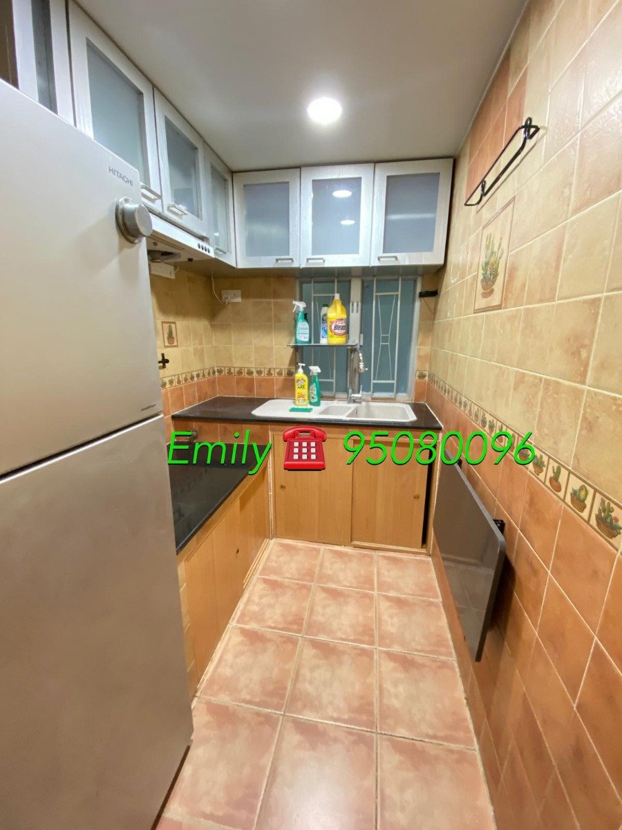 多石村 @ EMILY 95080096