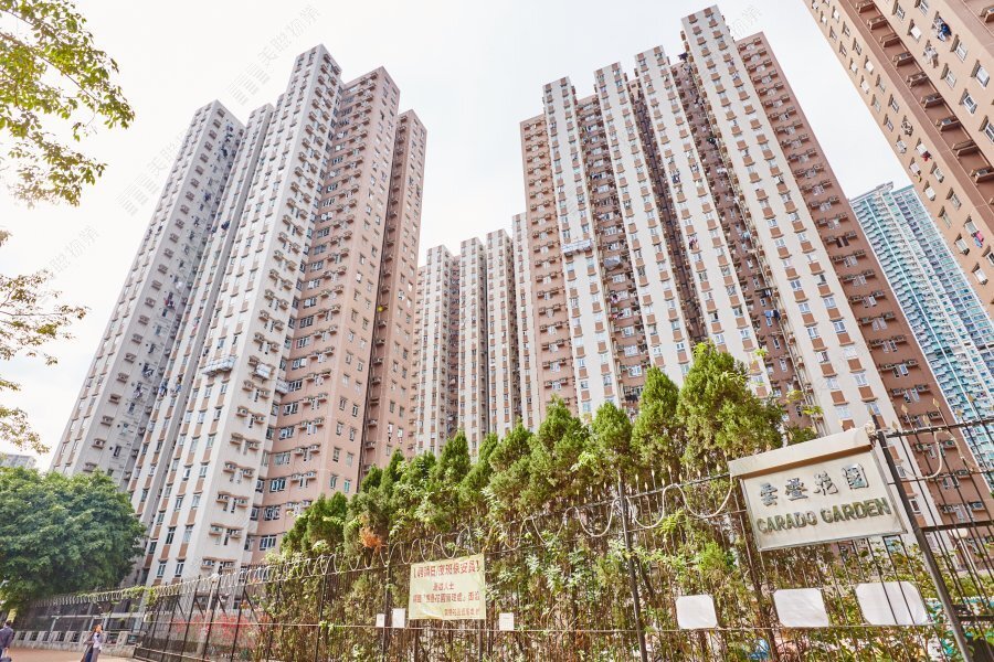 CARADO GDN BLK 02 (PSPS) Shatin L 1818534 For Buy