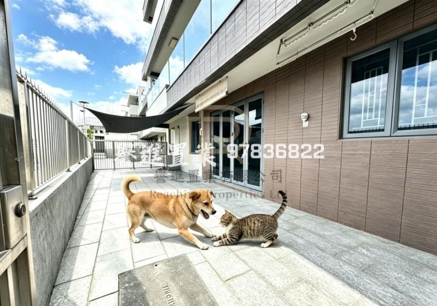 Yuen Long B009554 For Buy