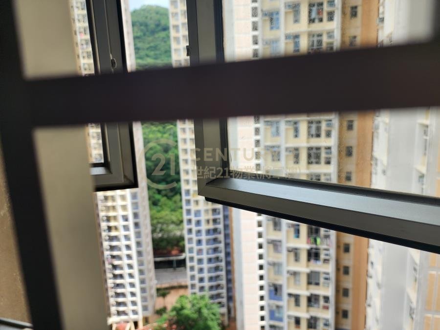 彩明苑 E座 彩桃閣 (連地價)