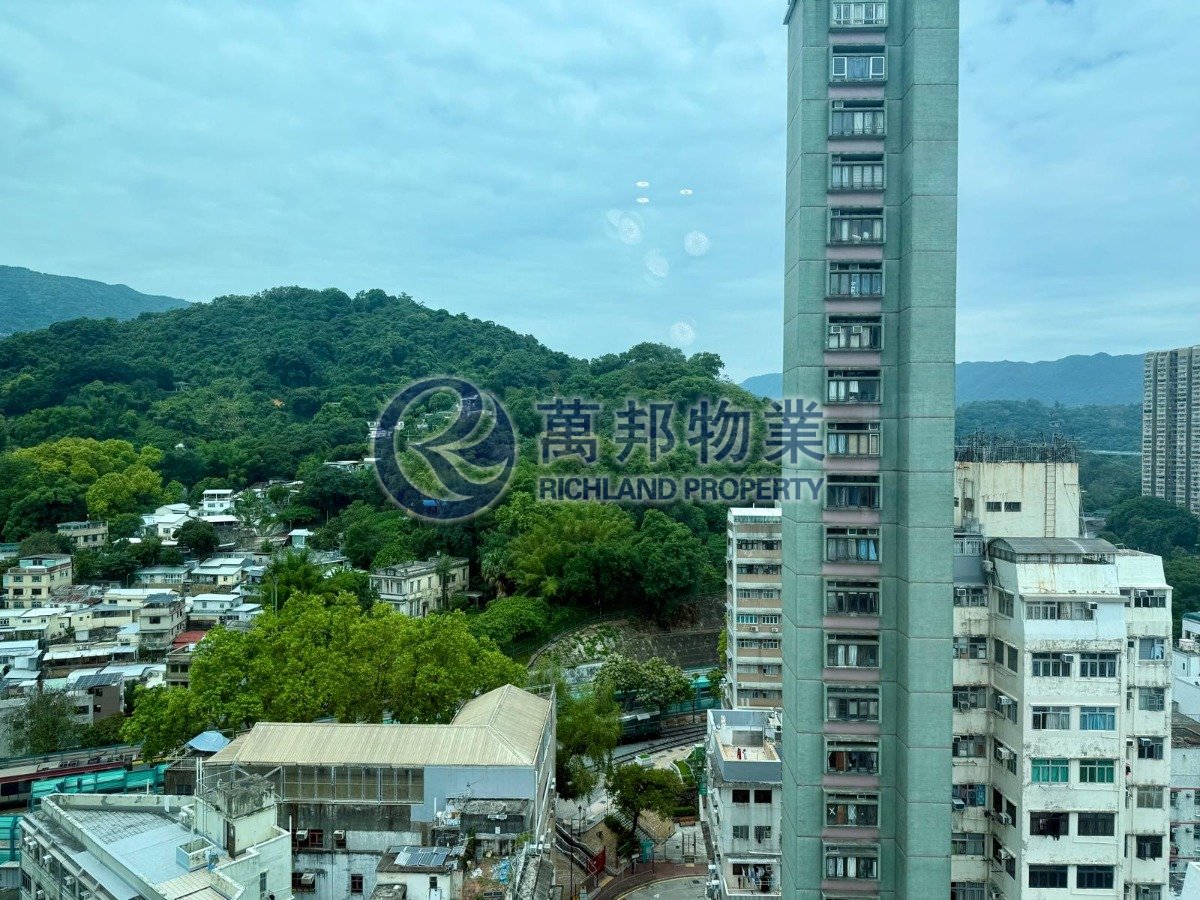CHAN COURT Tai Po H R129607 For Buy