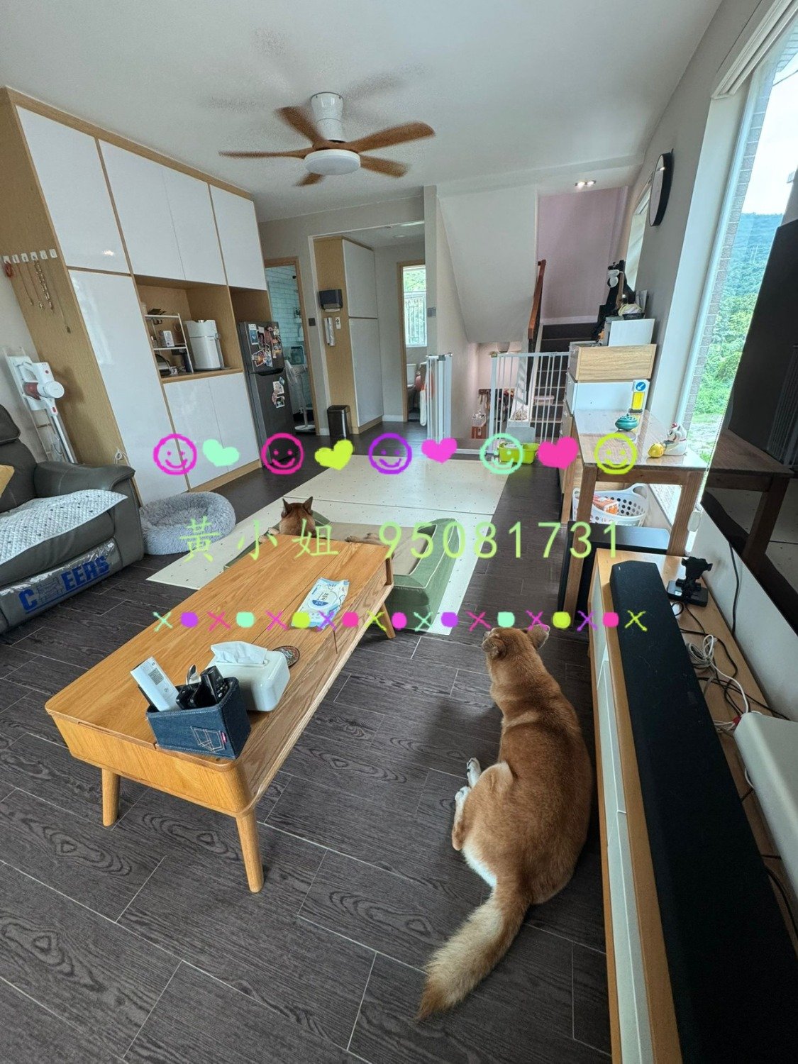 元嶺村  95081731