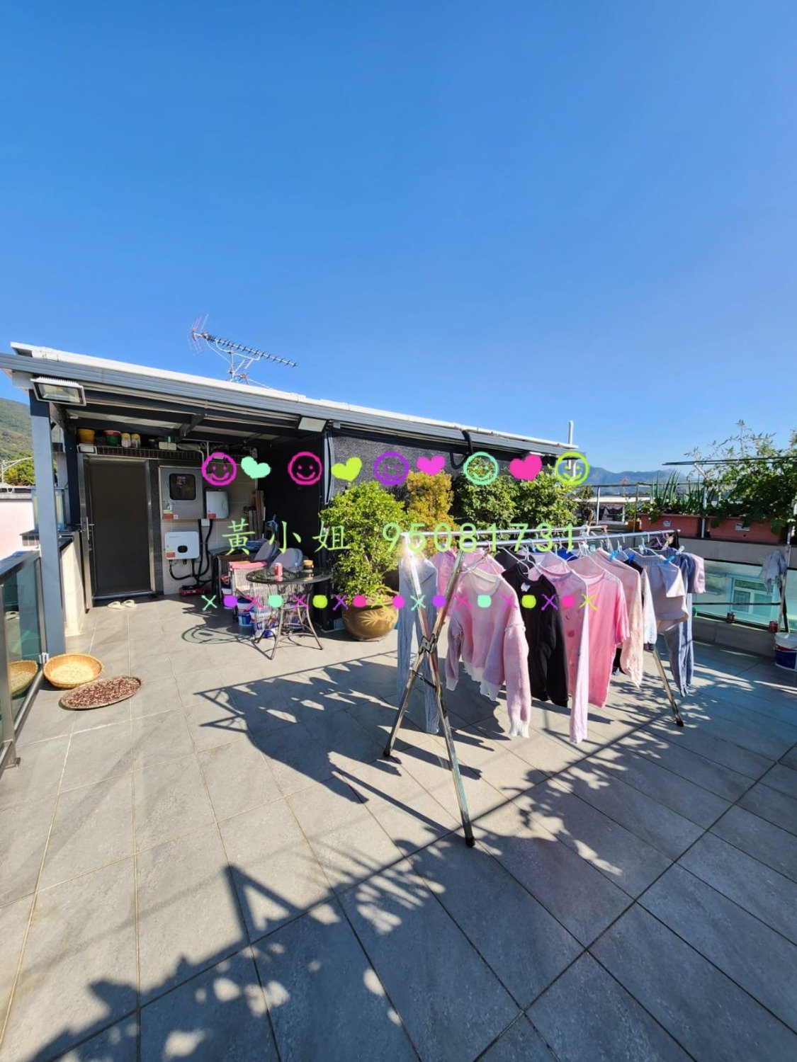 林村新村  95081731