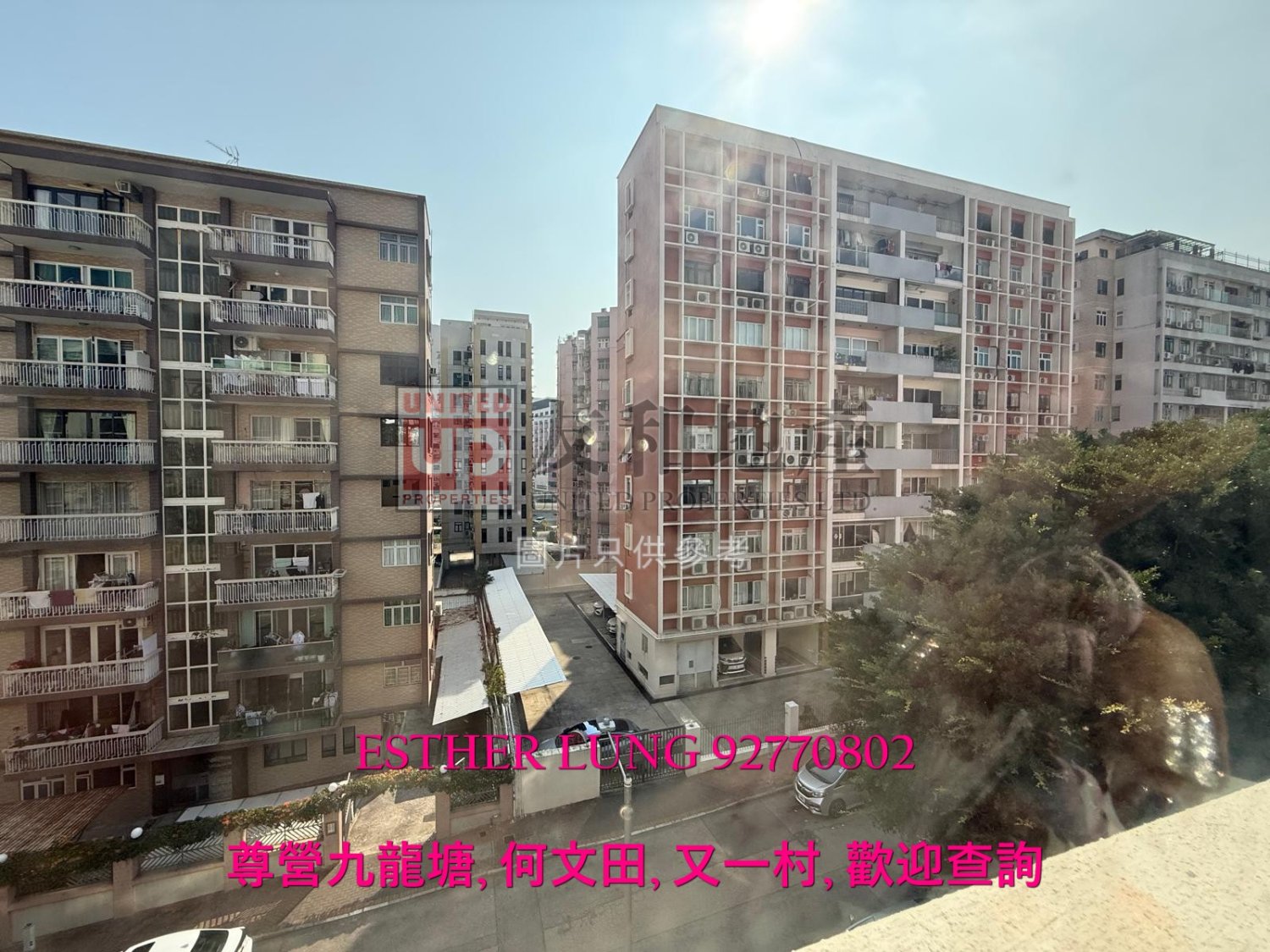 SAU CHUK YUEN RD 8 Kowloon Tong K124356 For Buy