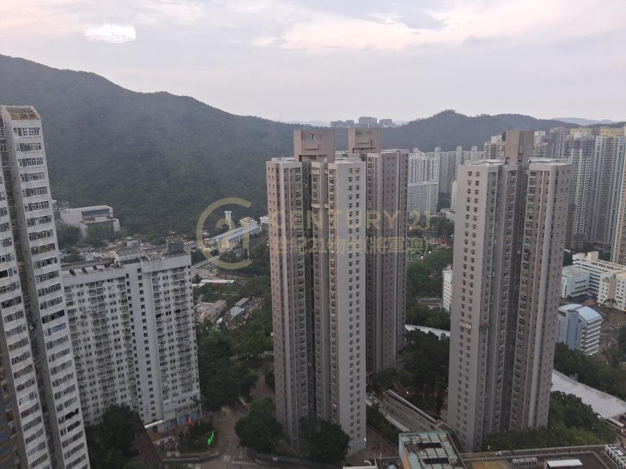 翠林村 第03座 雅林樓 (連地價)