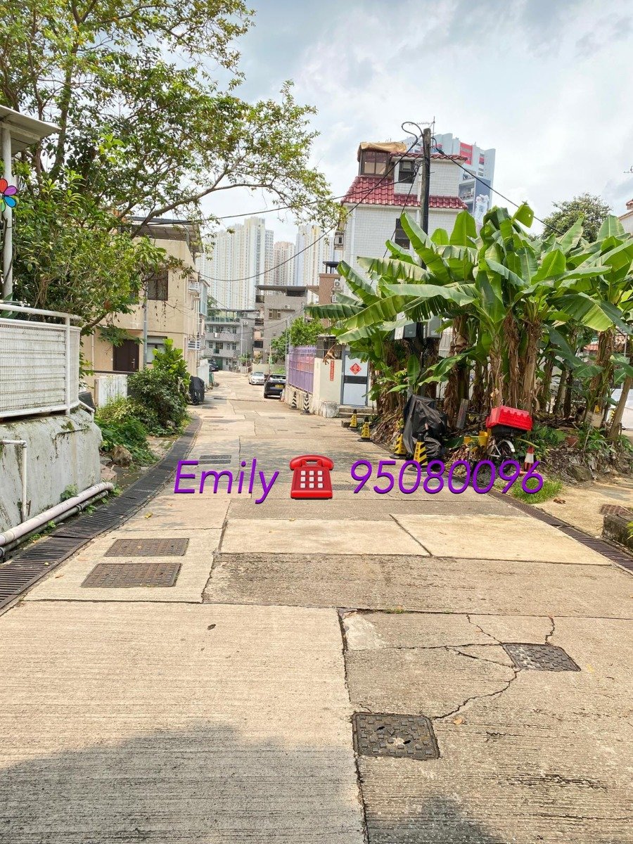 小瀝源村 @ EMILY 95080096