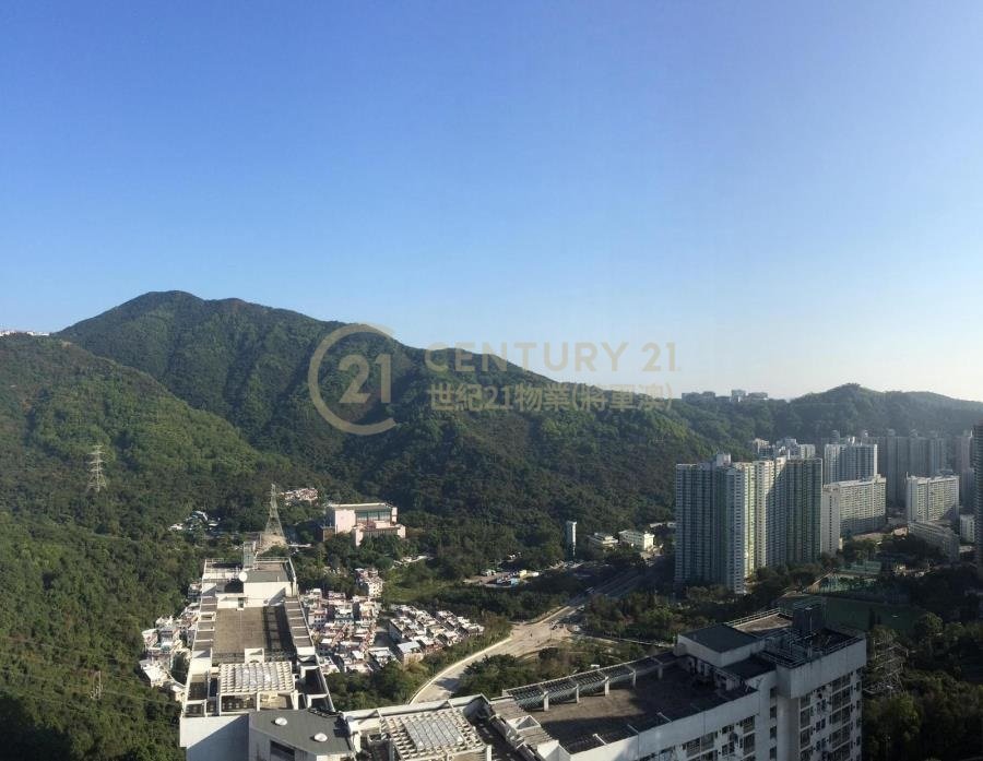 翠林村 第04座 欣林樓 (綠表)