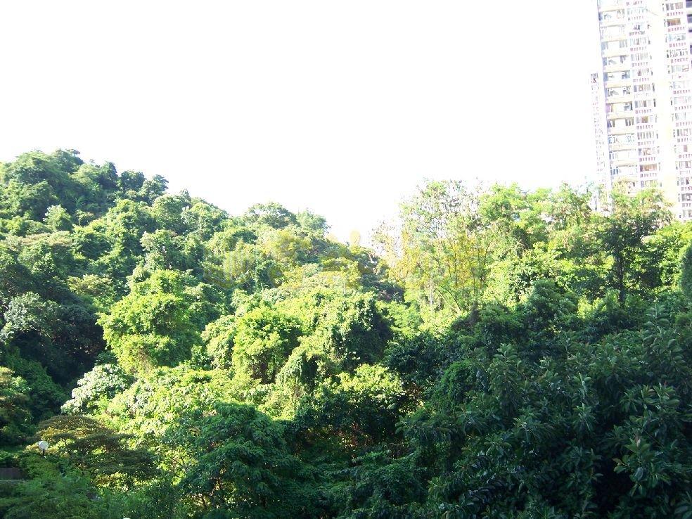 金獅花園 第01