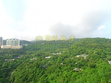 荃景花園